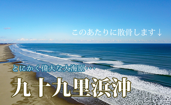 このあたりに散骨します