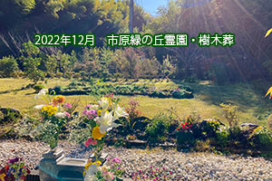 2022年12月　市原緑の丘霊園・樹木葬