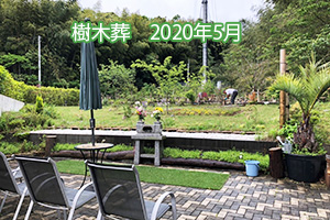 樹木葬 2020年5月