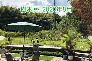 樹木葬2020年8月