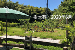 樹木葬 2020年6月