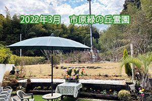2022年3月　緑の丘霊園散骨