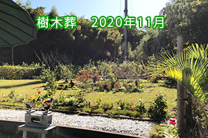 霊園散骨　2020年11月　緑の丘霊園