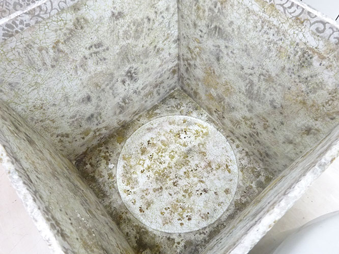 カビの生えた骨箱