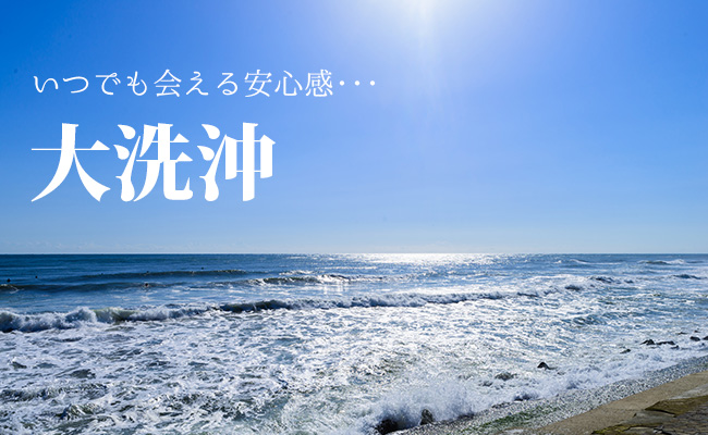 このあたりに散骨します