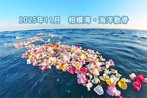 2025年11月　相模湾・海洋散骨