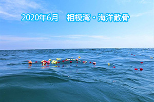 2020年6月　相模湾・海洋散骨
