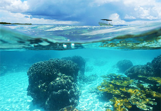 チャーターボートから散骨