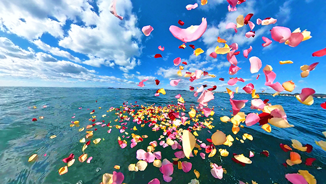 海洋散骨(仙台湾)