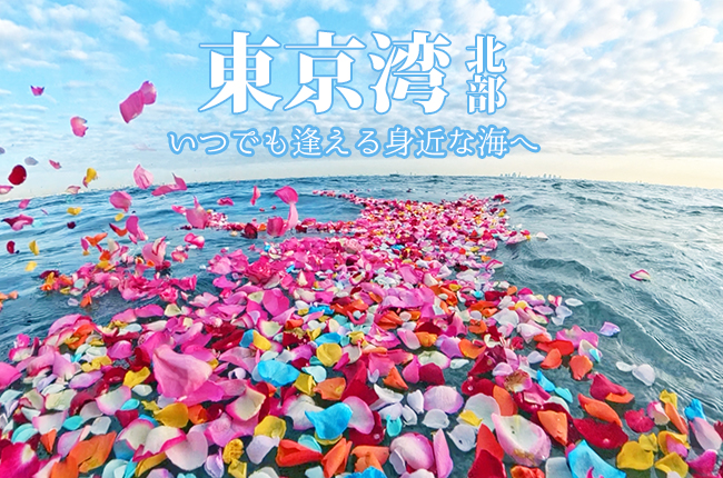 東京湾の海洋散骨 東京湾北部 いつでも逢える身近な海へ