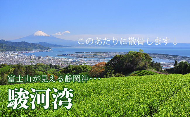 このあたりに散骨します