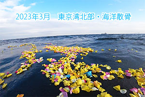 2023年3月　東京湾北部・海洋散骨