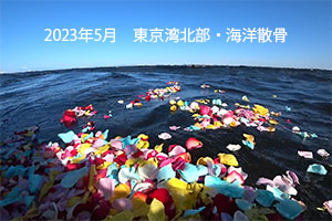 2023年5月　東京湾北部　海洋散骨