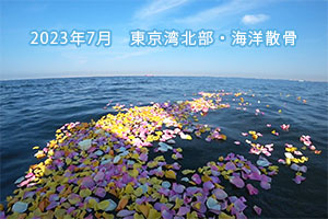 2023年7月　東京湾北部　海洋散骨