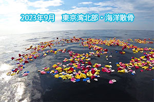 2023年9月　東京湾北部　海洋散骨