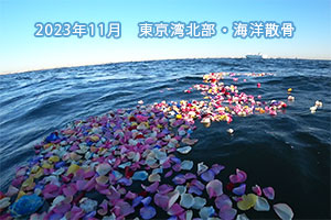 2023年11月　東京湾北部　海洋散骨