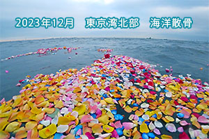 2023年12月　東京湾北部　海洋散骨