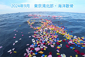 2024年9月　東京湾北部・海洋散骨