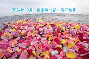 2024年10月　東京湾北部・海洋散骨