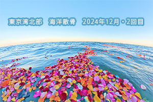 東京湾・冬の散骨