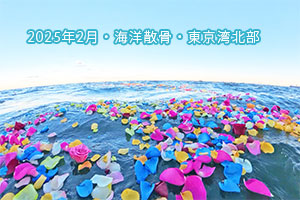 2025年2月5日　東京湾北部・海洋散骨
