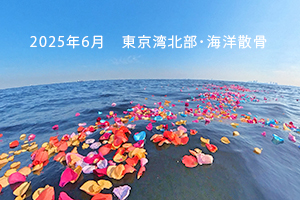 東京湾・春の散骨