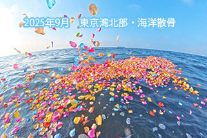 2025年9月　東京湾北部・海洋散骨
