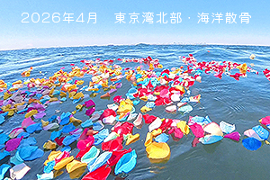 散骨 2026年4月 東京湾北部・海洋骨