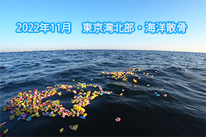 2022年11月　東京湾北部・海洋散骨