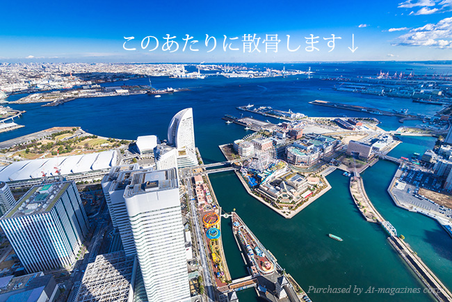 このあたりに散骨します