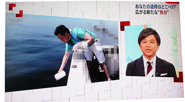 クローズアップ現代＋